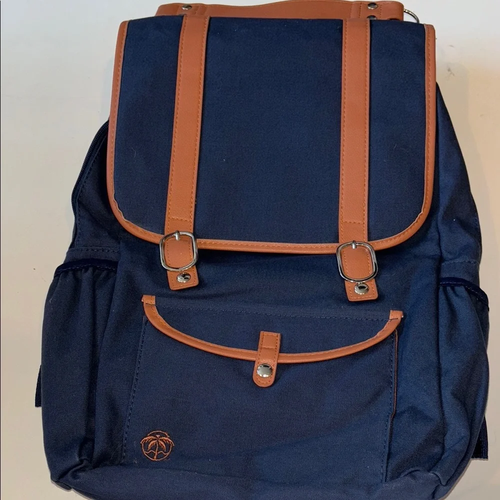 Rear Bike Backpack Laptop (Blue) Convertible Double Pannier for Bicycles
